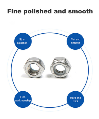 Applicazioni in industria generale Acciaio inossidabile Hex Nylon Lock Nut con inserto di nylon