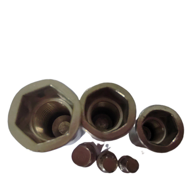 Mercato giapponese DIN Standard Flat Head Semi-Hex End Chiuso Rivet Nut a filo per elettrodomestici