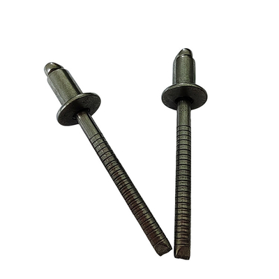 Testa rotonda in acciaio inossidabile Rivetta standard Bianco 3,2 mm Open End Diretto Alta resistenza