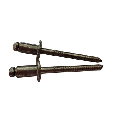 Testa rotonda in acciaio inossidabile Rivetta standard Bianco 3,2 mm Open End Diretto Alta resistenza