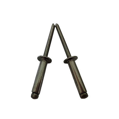 Acciaio inossidabile 4.0 mm Rivette chiuse a chiuso Testa rotonda Facile installazione Finitura luminosa