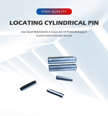 Fissazione in acciaio inossidabile 304 M10 M12 M14 M16 Pin cilindrico