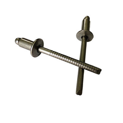 Rivette in acciaio inossidabile standard da 3,0 mm Rivette a chiuso cieco in natura Colore testa rotonda