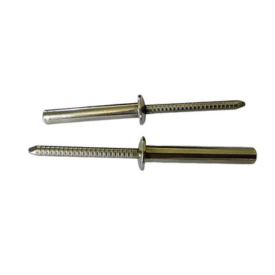 Rivetta cieca in acciaio inossidabile standard DIN per resistenza alla corrosione e impermeabilizzazione