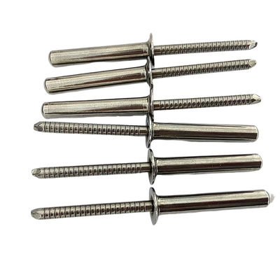 In acciaio inossidabile resistente alle intemperie Rivet cieco sigillato per la consegna puntuale