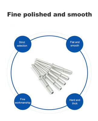 In acciaio inossidabile argenteo 304 mono-bolt Interlock rivetti ciechi strutturali per versatile