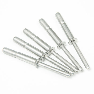 304 in acciaio inossidabile piatto rotondo testa di coppa tipo coppa inondata rivettone cieco con fine aperto