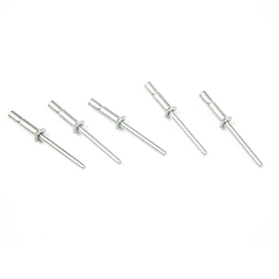 Finitura in acciaio inossidabile Plain Countersunk Head Cup Type Draw Circular Ring Mandrel Blind