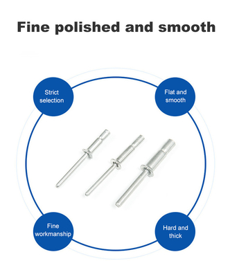 Finitura in acciaio inossidabile Plain Countersunk Head Cup Type Draw Circular Ring Mandrel Blind
