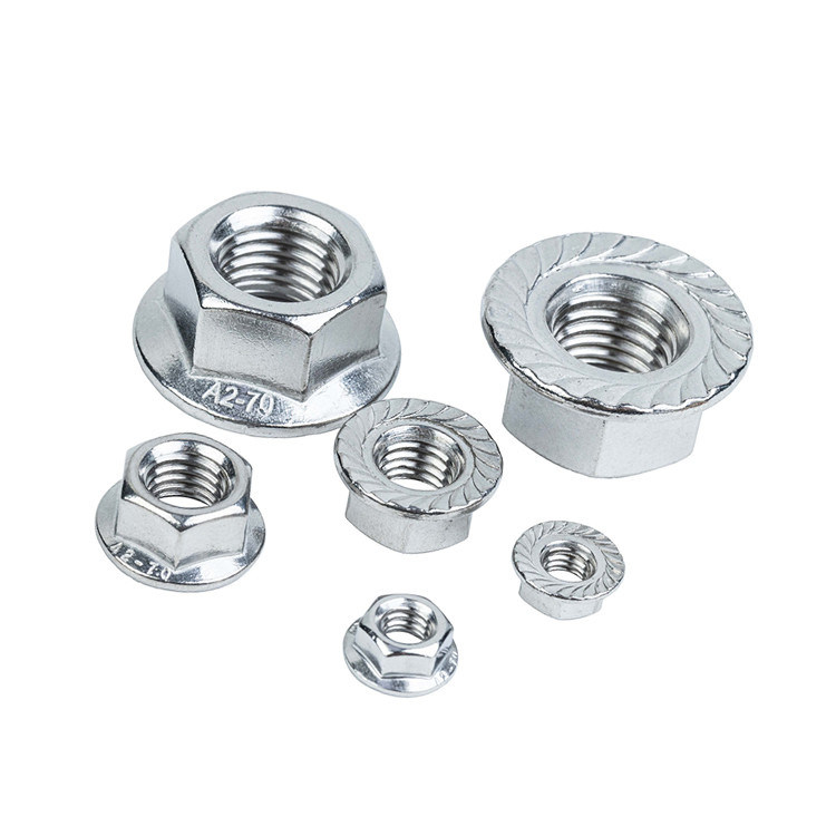 Multi Specification DIN Standard 304 316 Acciaio inossidabile Hexagon Flange Nut Finish