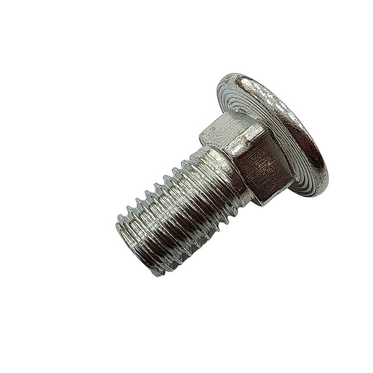 Bolto di carrello in acciaio inossidabile M12 testa rotonda collo quadrato con testa piatta standard DIN