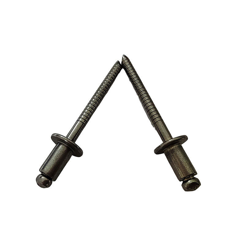 Rivet standard 5.0mm Rivet a chiusura cieca di alta resistenza in acciaio inossidabile testa rotonda