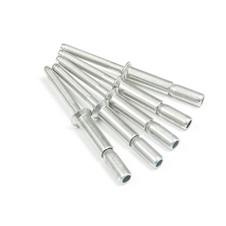 Tipo di tazza Argento 4,8 6,4 mm Testa a cupola in acciaio inossidabile Rivetti ciechi multigrip