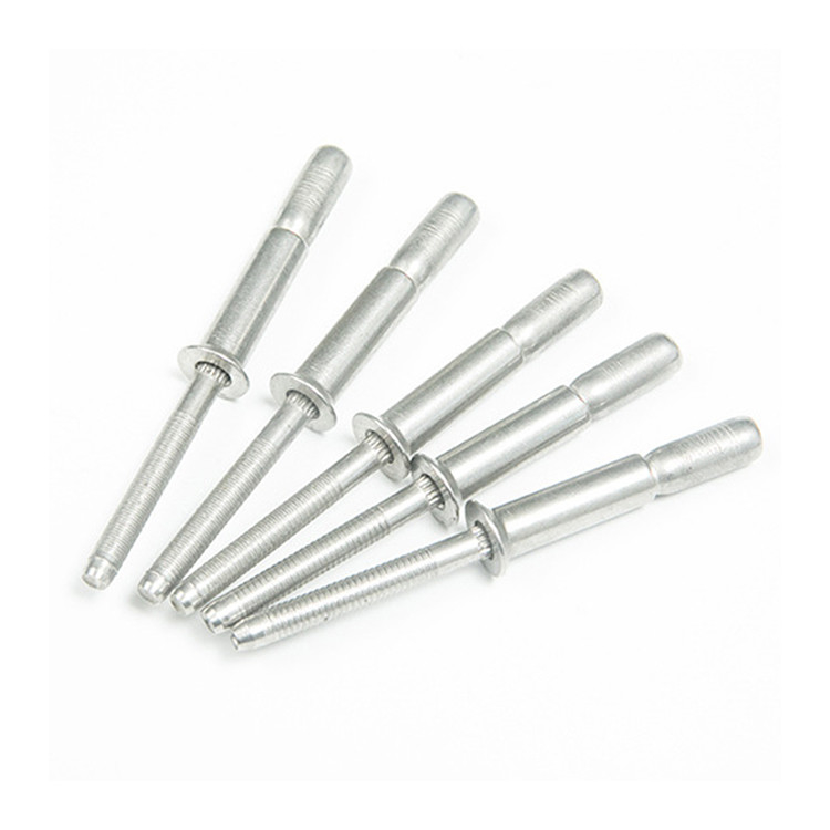 Argento 2024 4,8 6,4 mm Testa a cupola in acciaio inossidabile Rivetti ciechi a multi-grip