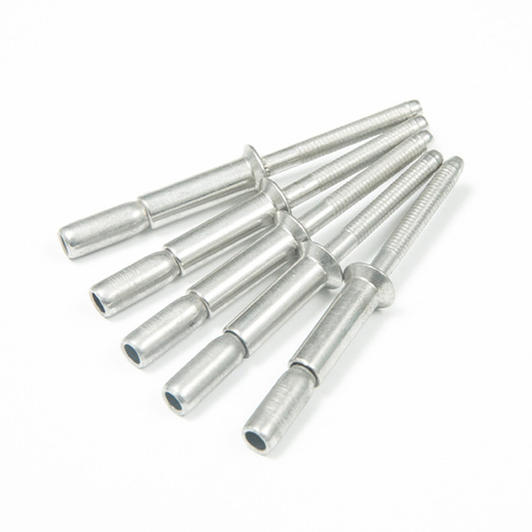 Argento 2024 Testa rotonda Contro-immersa Tipo di coppa Tipo di disegno Anello circolare Striscia di base Mandrel Rivet cieco