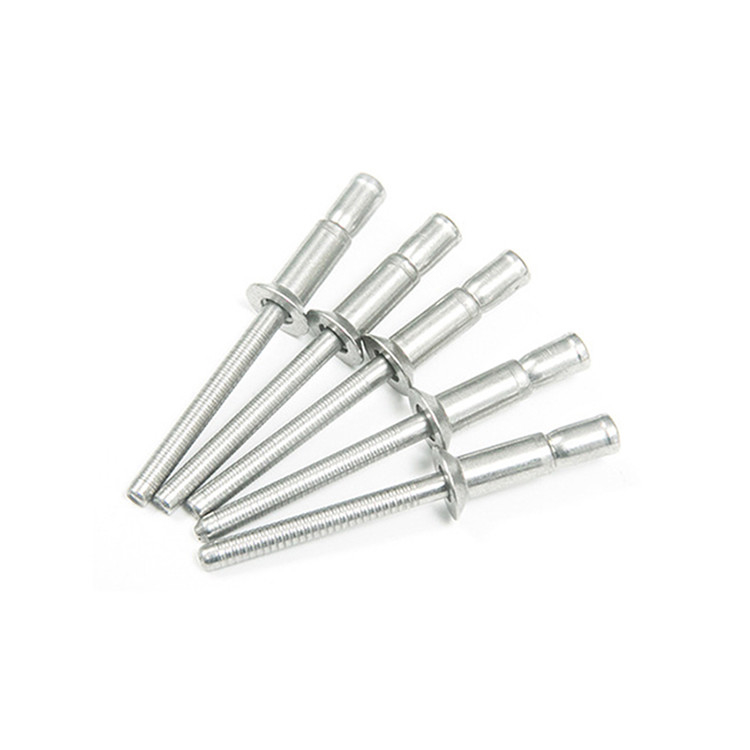 Rivetto cieco tipo tazza per l'industria automobilistica vendita all'ingrosso in acciaio inossidabile multi-grip Finish Plain