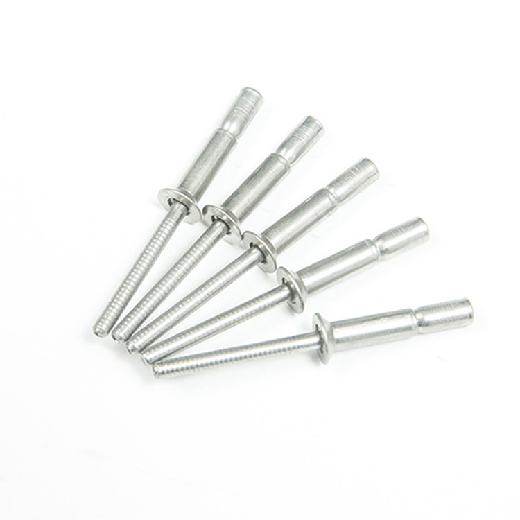 Finitura piana 4.8 mm Dia Coppa in acciaio inossidabile Mono-bolto Rivet per applicazioni Outlock