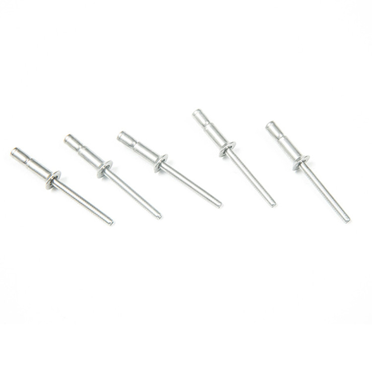 Finitura in acciaio inossidabile Plain Countersunk Head Cup Type Draw Circular Ring Mandrel Blind