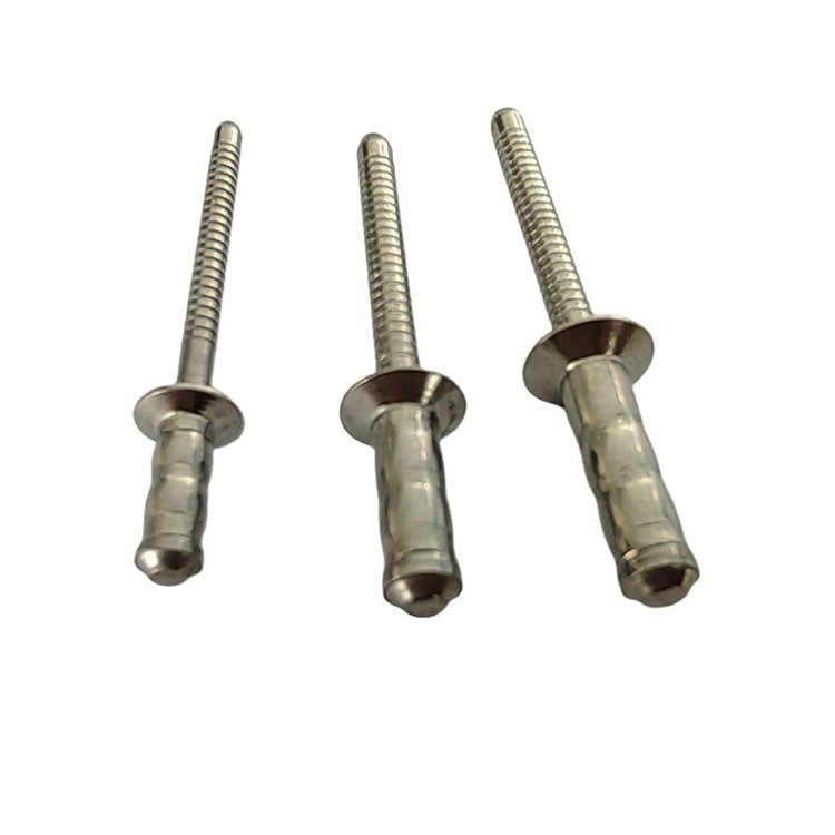 Rivetti a tamburo singolo in acciaio inossidabile di 2,4 mm, 3,2 mm, 4 mm, 4,8 mm, 6 mm di diametro aperto su misura